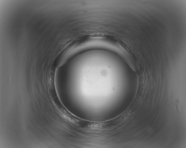 X0000081430084200701191633