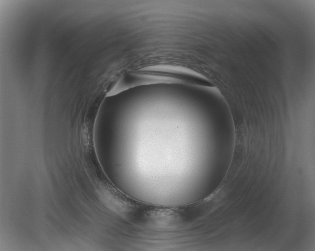 X0000081430086200701191633