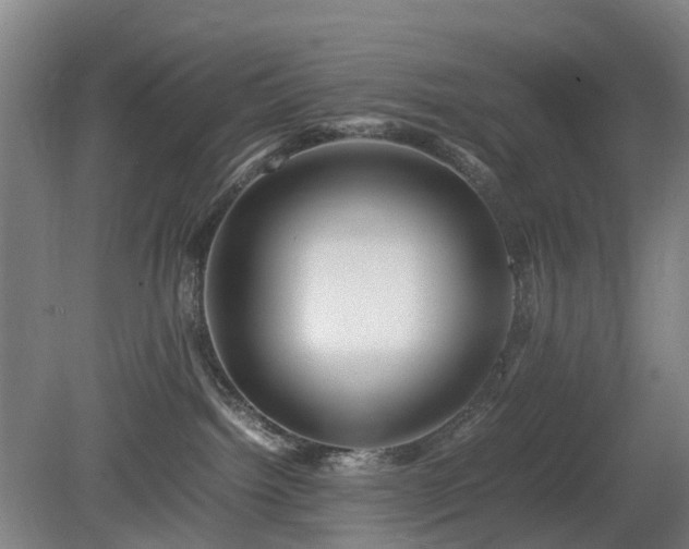 X0000081430092200701191633