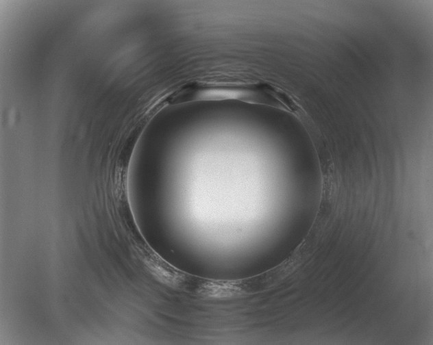 X0000081430093200701191633