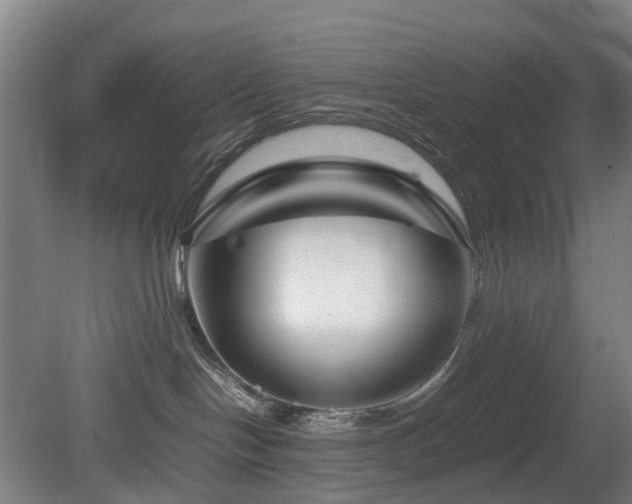 X0000081430094200701191633