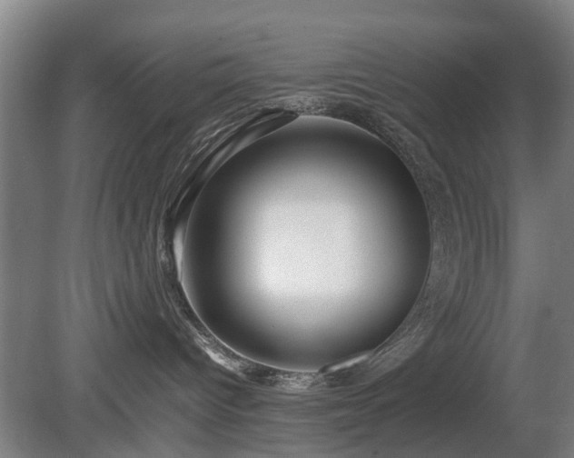 X0000081430096200701191633