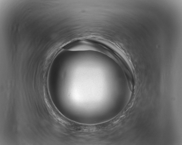 X0000081430097200701191632