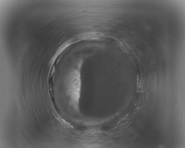 X0000081430099200701191632