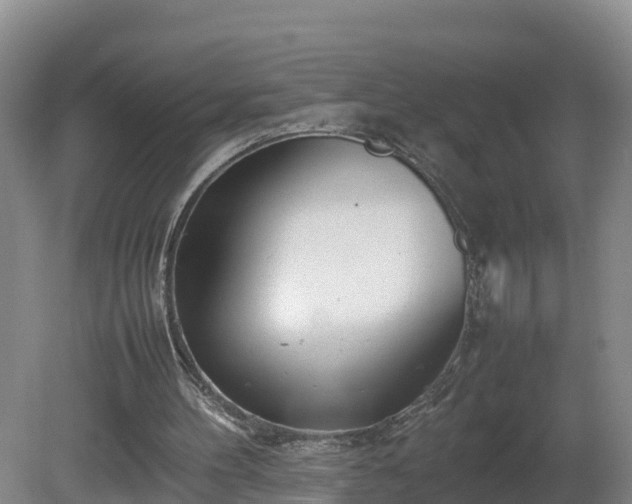 X0000081430100200701191632