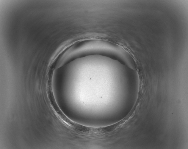 X0000081430101200701191632