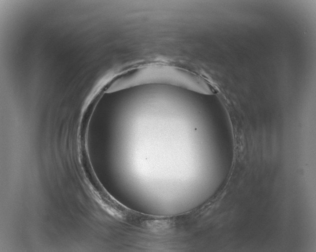 X0000081430102200701191632