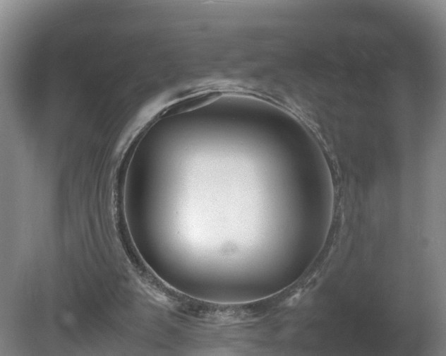 X0000081430103200701191632