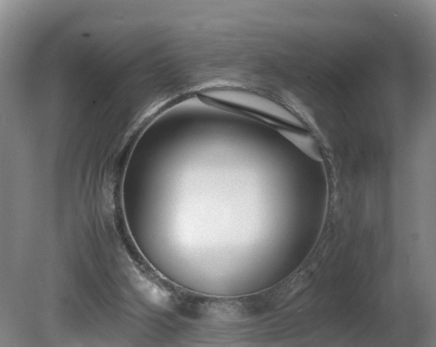 X0000081430106200701191632