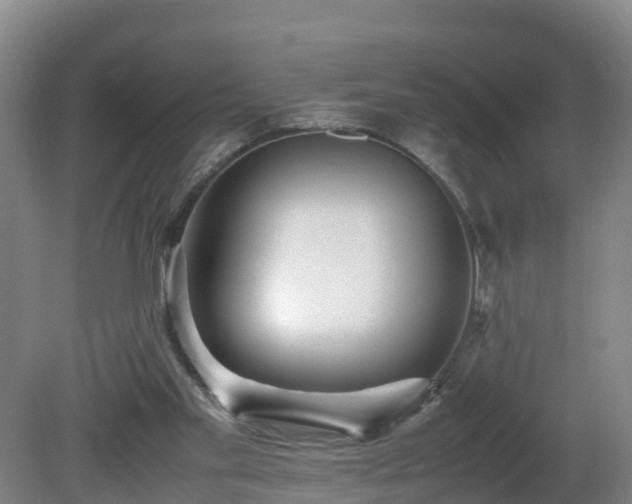 X0000081430109200701191632