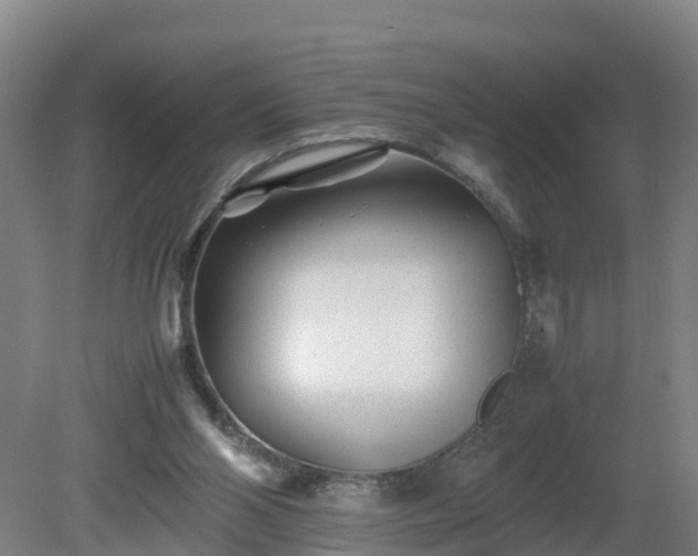 X0000081430110200701191632