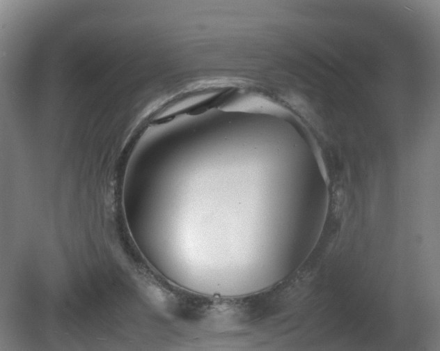 X0000081430111200701191632