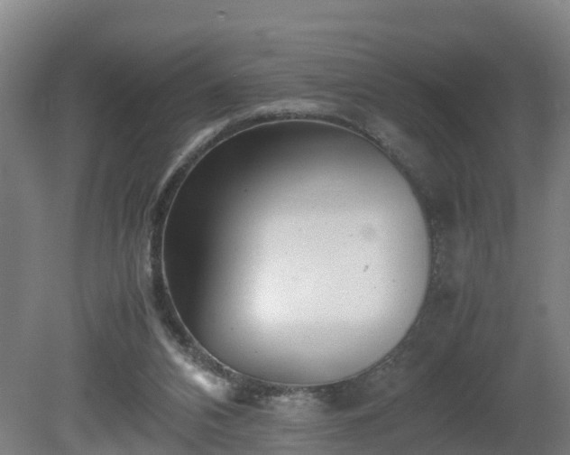 X0000081430112200701191632