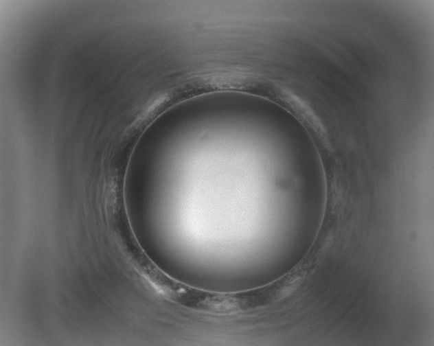 X0000081430113200701191632