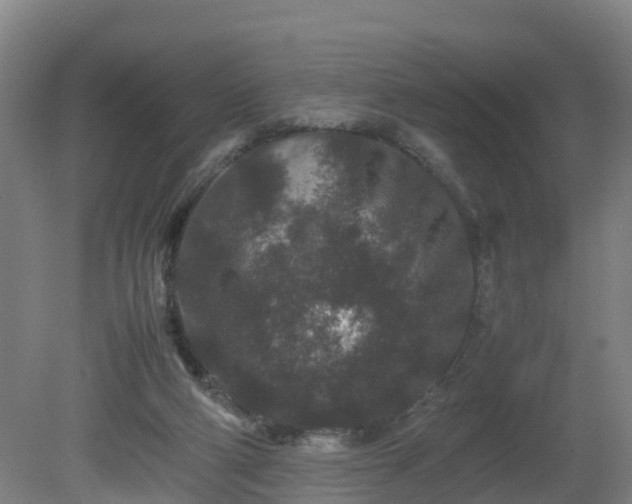 X0000081430114200701191632