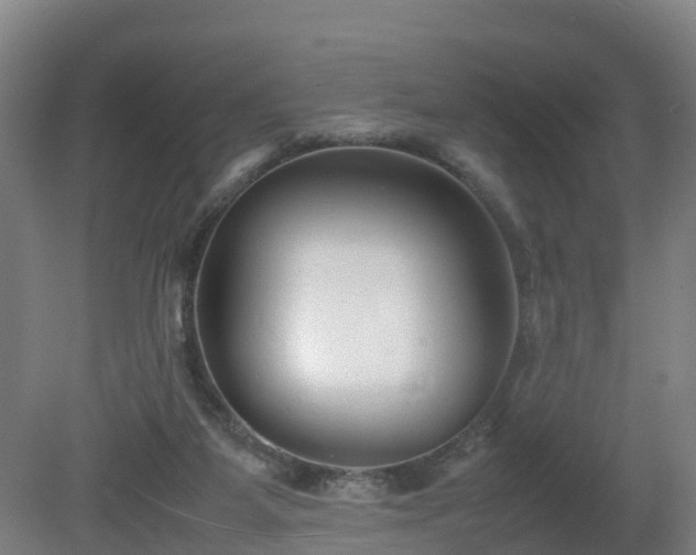 X0000081430115200701191632