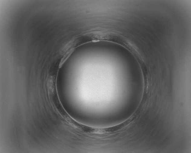 X0000081430121200701191632