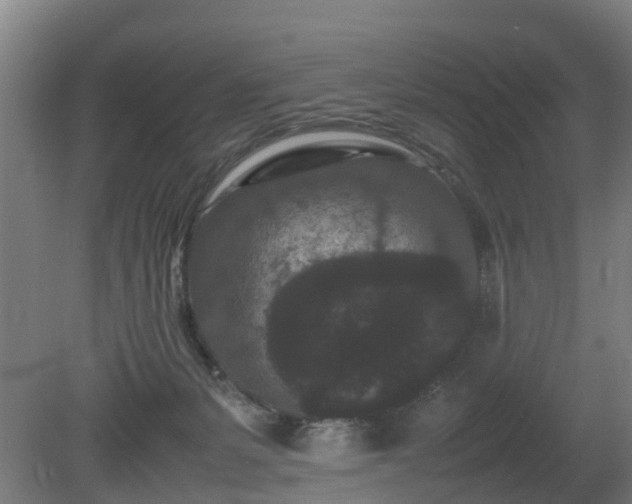 X0000081430127200701191632