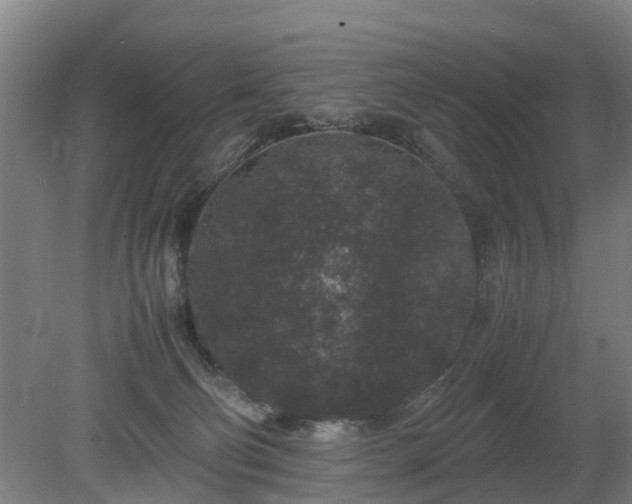 X0000081430130200701191632