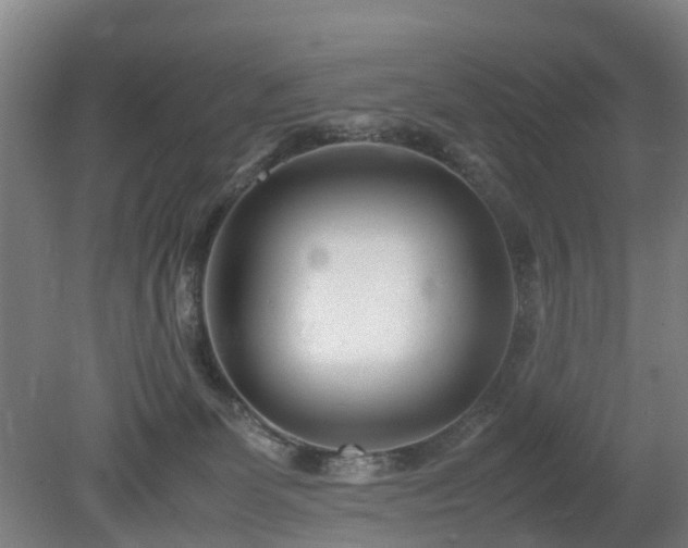 X0000081430131200701191632