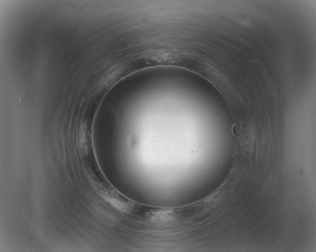 X0000081430132200701191632