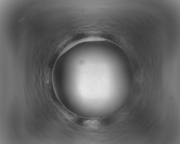 X0000081430133200701191632