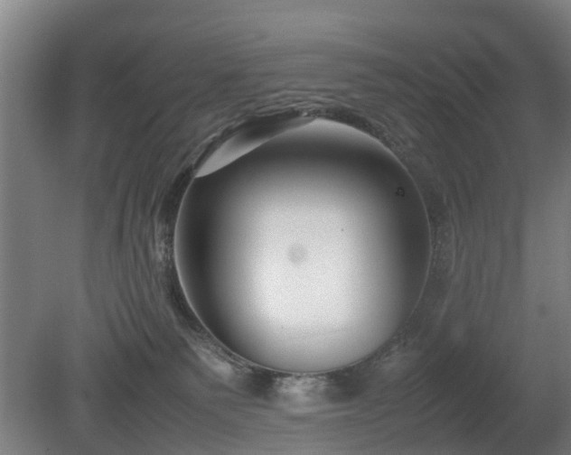 X0000081430135200701191632