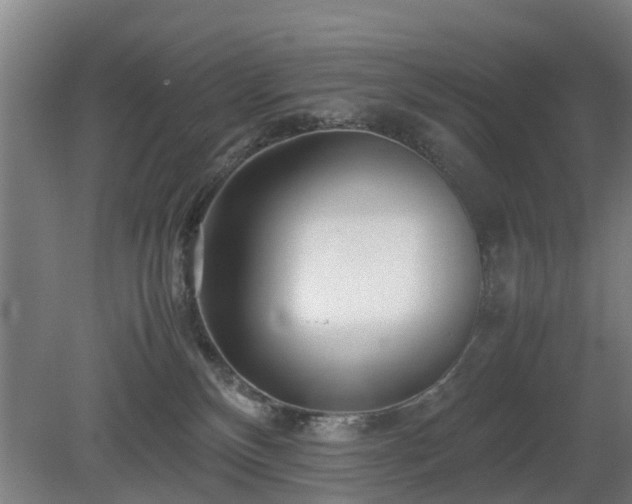 X0000081430136200701191632