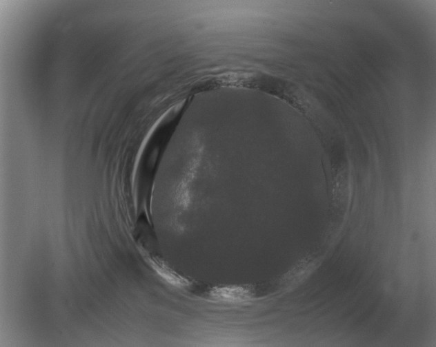 X0000081430137200701191632