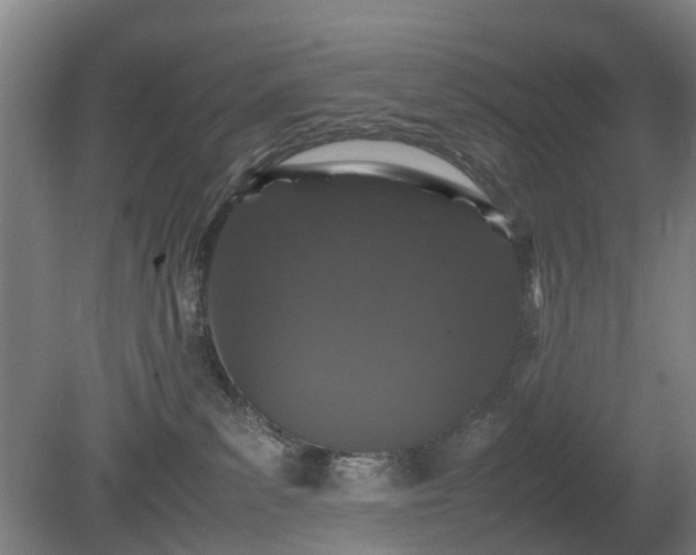 X0000081430139200701191632