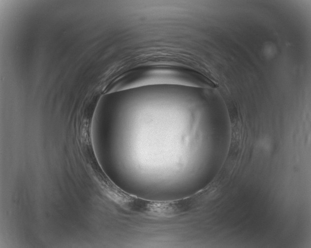 X0000081430141200701191632