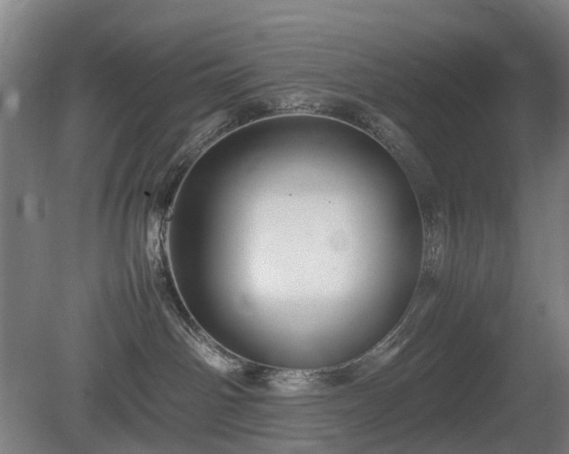 X0000081430142200701191631