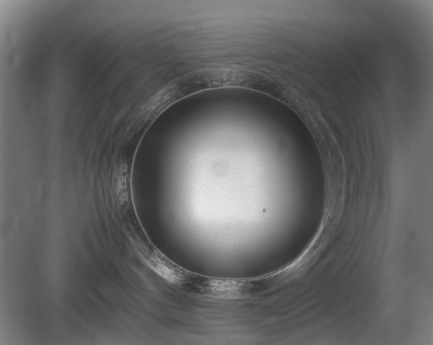 X0000081430144200701191631