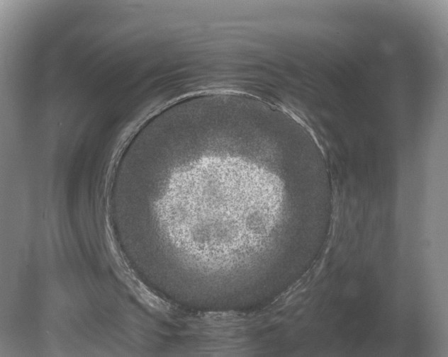 X0000081430145200701191631