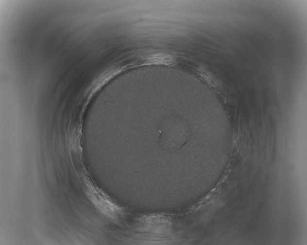 X0000081430146200701191631