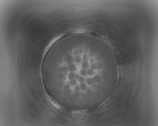 X0000081430147200701191631