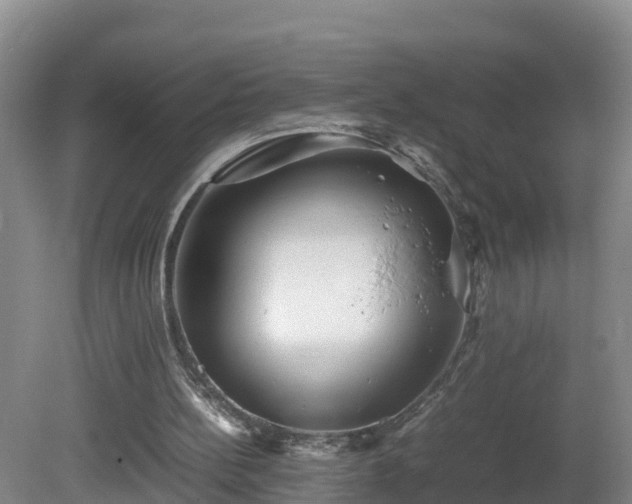 X0000081430148200701191631