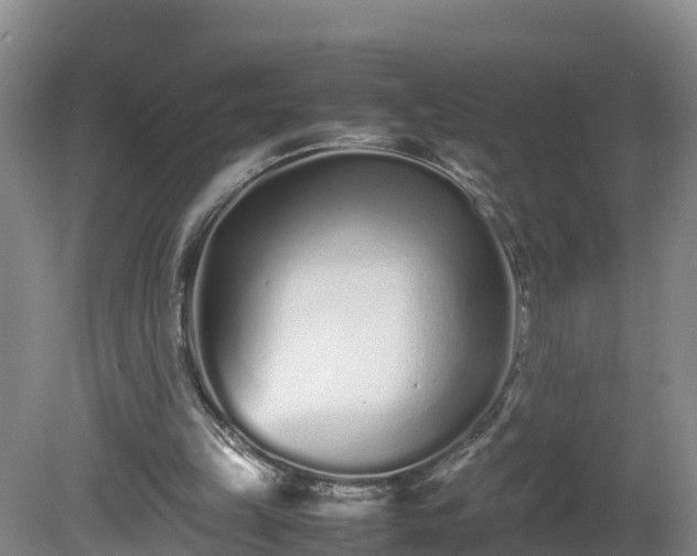 X0000081430149200701191631