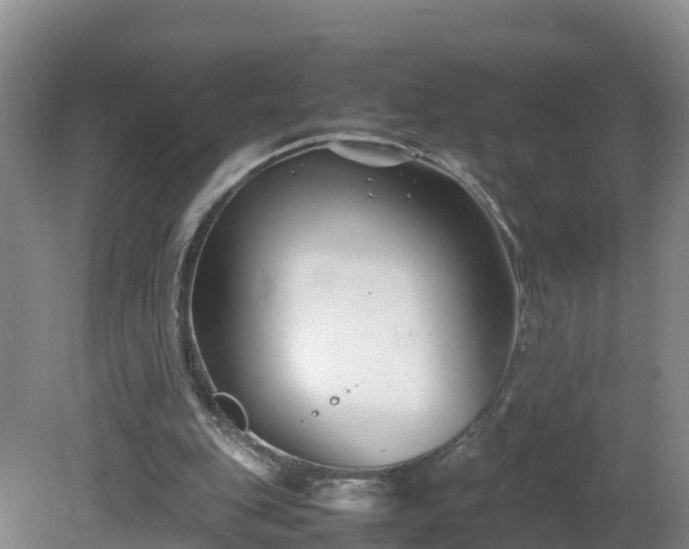 X0000081430151200701191631