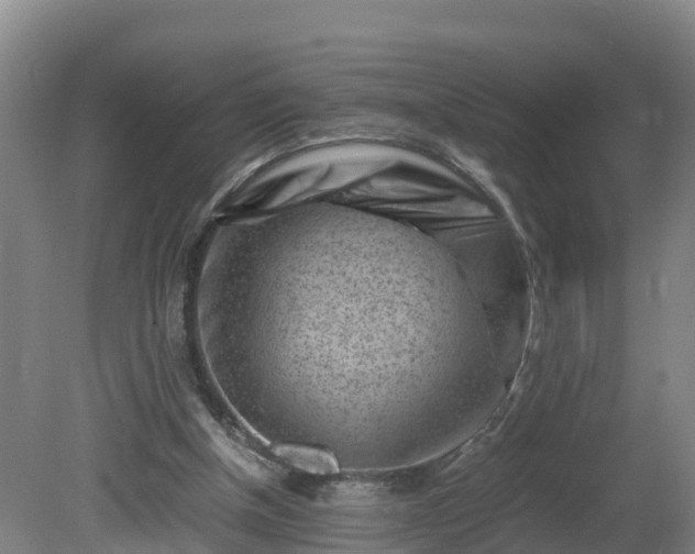 X0000081430154200701191631