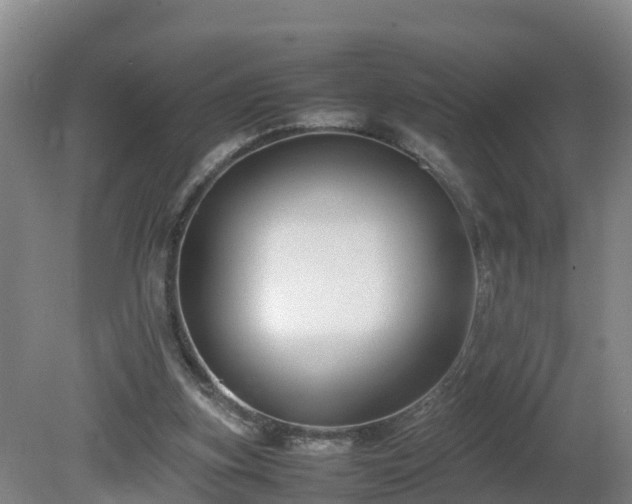 X0000081430155200701191631