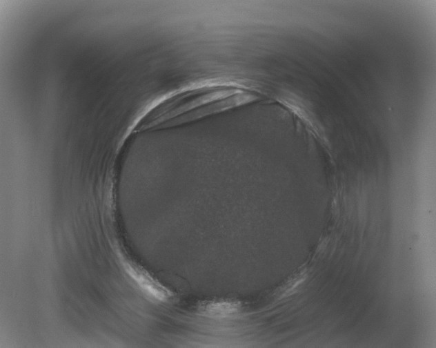 X0000081430156200701191631