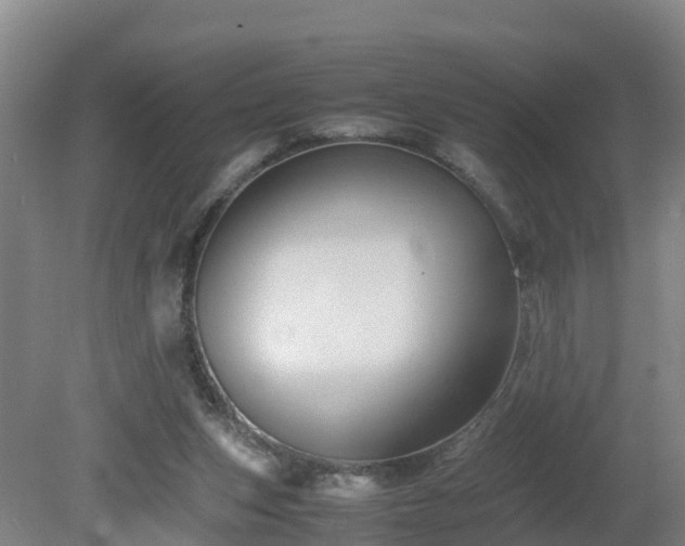 X0000081430159200701191631