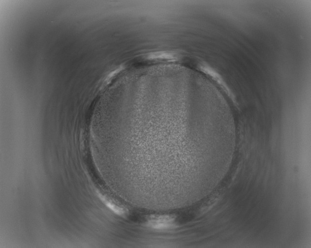 X0000081430161200701191631