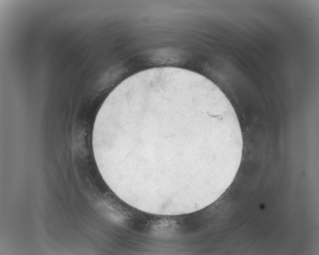 X0000081430162200701191631