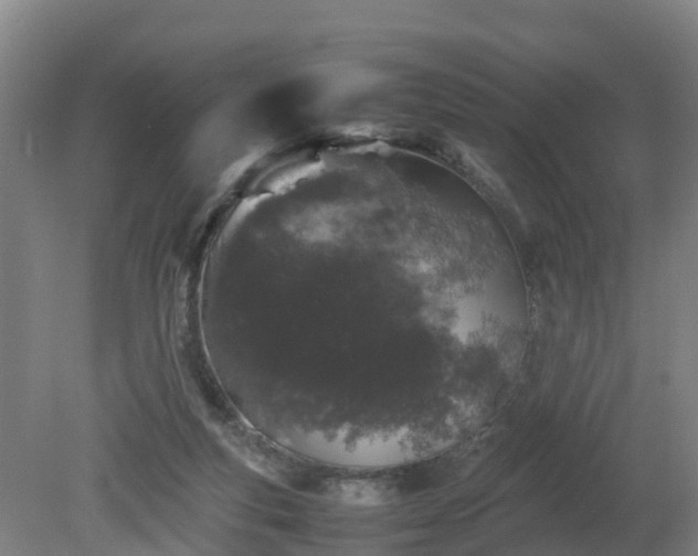 X0000081430163200701191631