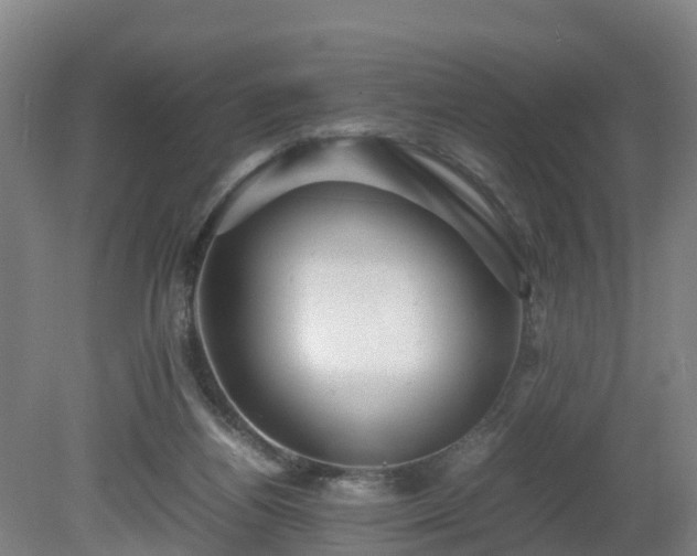 X0000081430164200701191631