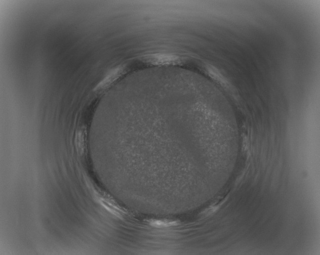 X0000081430165200701191631