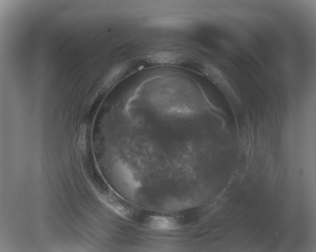 X0000081430167200701191631