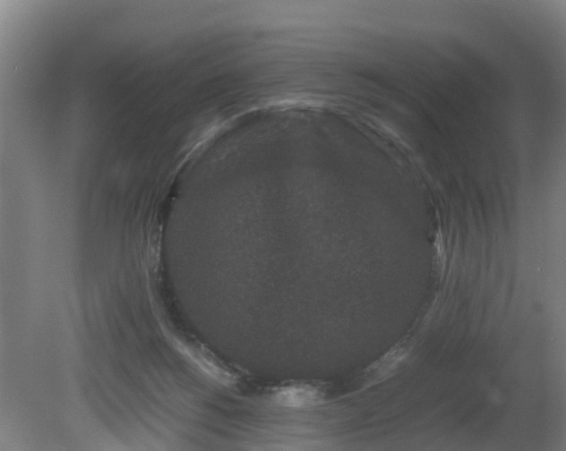 X0000081430168200701191631